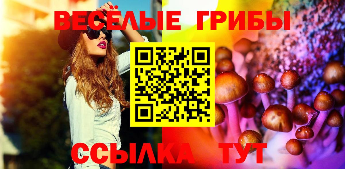 Галлюциногенные грибы мухоморы  Вход с VPN  Псилоцибиновые грибы MAGIC MUSHROOMS  Можга 