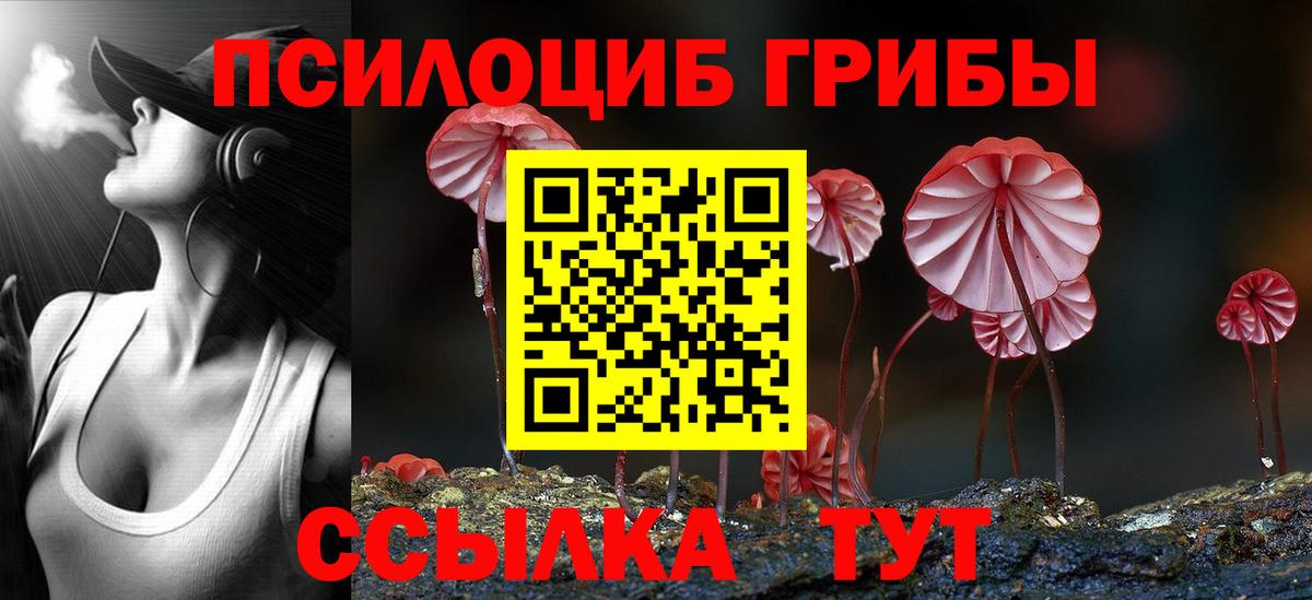 Псилоцибиновые грибы MAGIC MUSHROOMS Можга